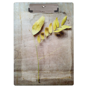 Herbarium V Clipboard