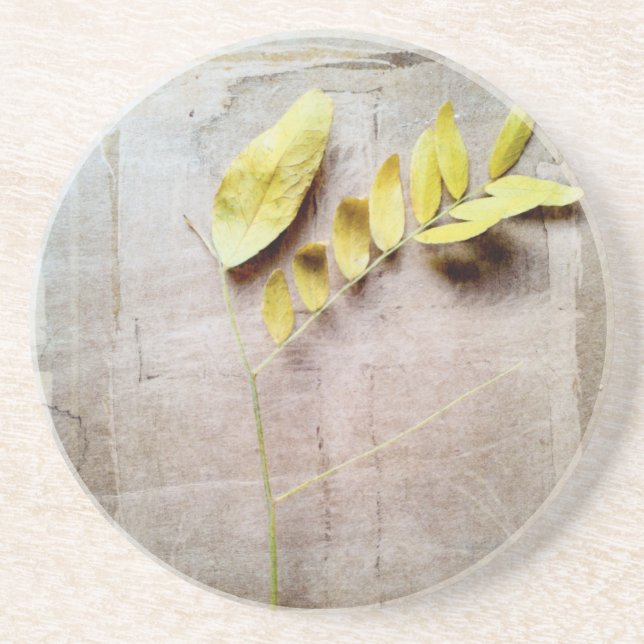 Herbarium V Coaster (Front)