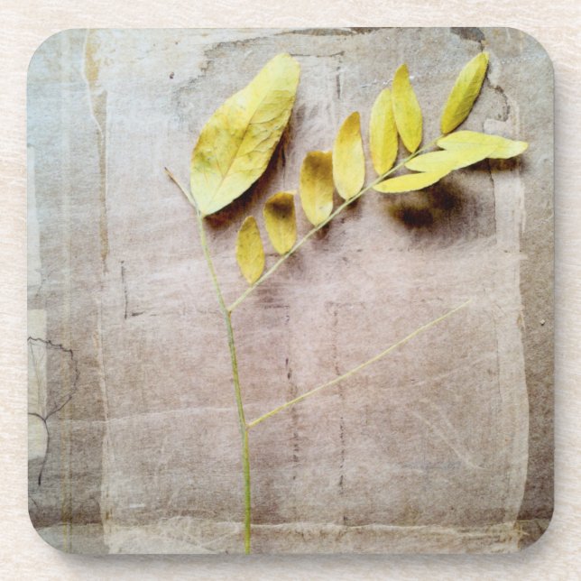 Herbarium V Coaster (Front)