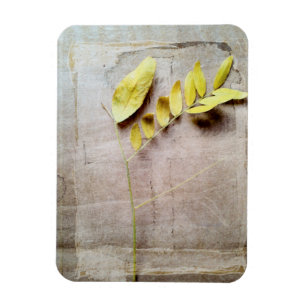 Herbarium V Magnet