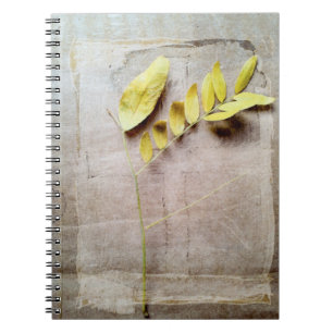 Herbarium V Notebook