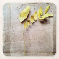 Herbarium V