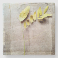 Herbarium V