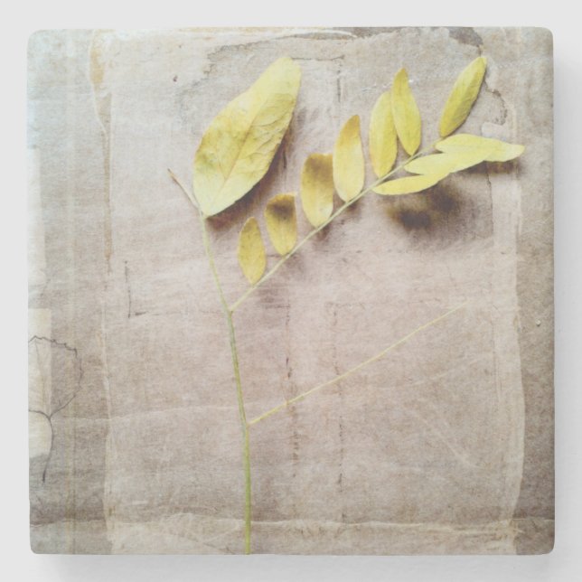 Herbarium V Stone Coaster (Front)