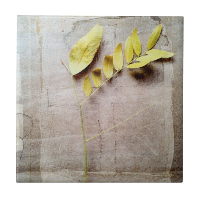 Herbarium V Tile (Front)