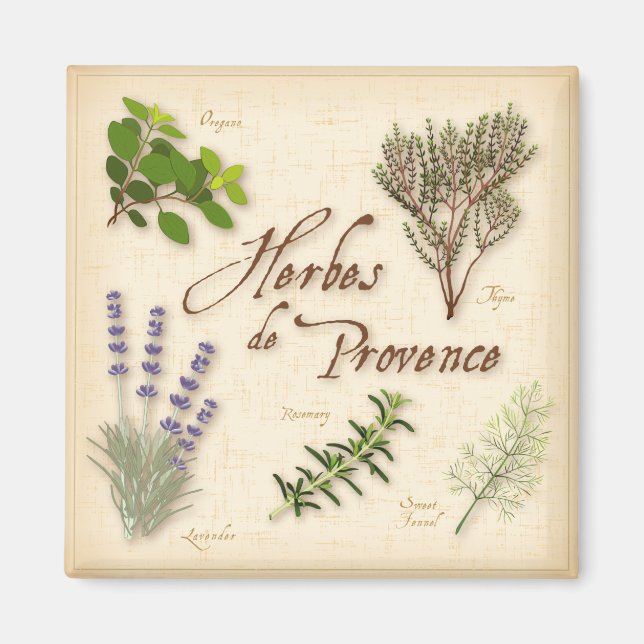 Herbes de Provence Magnet (Front)