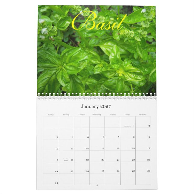 Herbs   2010 calendar (Jan 2027)