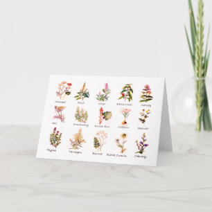 Herbs and Spices Greeting Cards