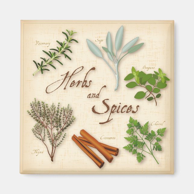 Herbs and Spices Magnet (Front)