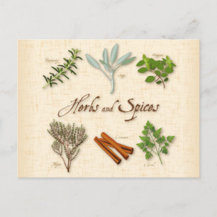 Herbs and Spices Postcard