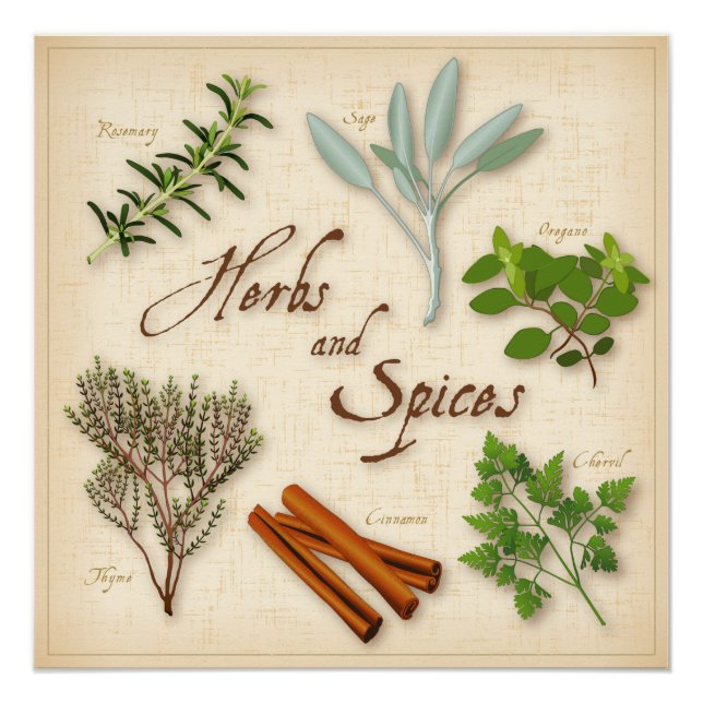 Herbs and Spices, Rosemary, Sage, Thyme, Cinnamon Poster (Front)