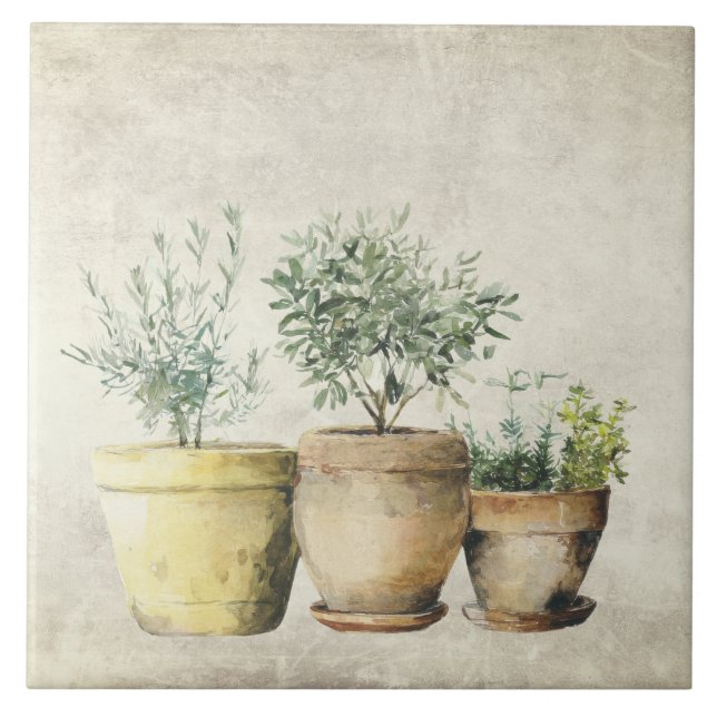 Herbs in Pots Mediterrean Rustic  Ceramic Tile (Front)