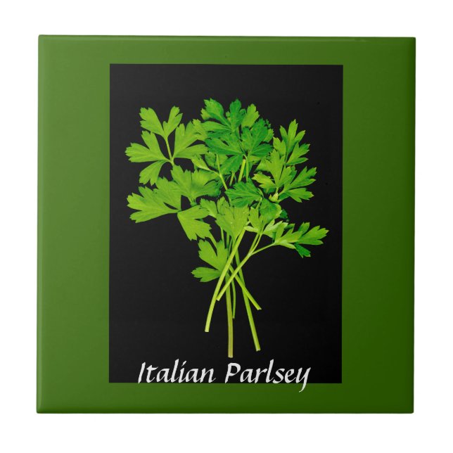 herbs - parsley tile (Front)