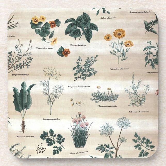 Herbs Plants Flowers Coaster (Front)