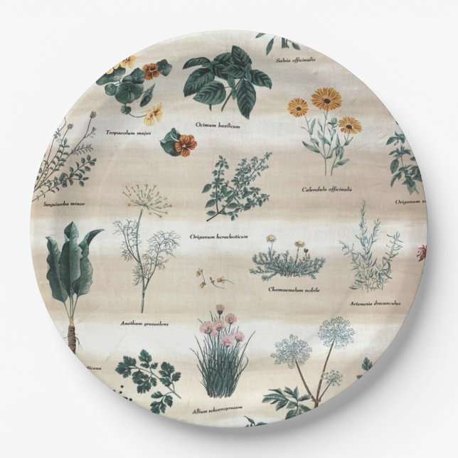 Herbs Plants Flowers Paper Plate (Front)