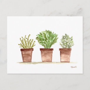 Herbs sage, rosemary, thyme postcard