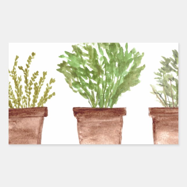 Herbs sage, rosemary, thyme rectangular sticker (Front)