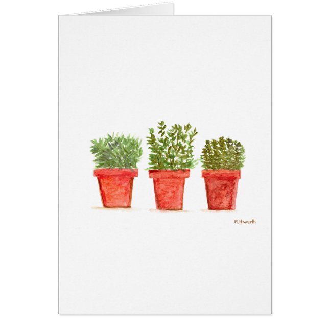 Herbs thyme rosemary mint (Front)