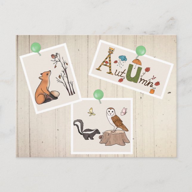 Herbstbild Wald Postcard (Front)