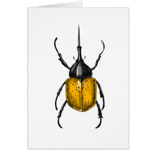 Hercules beetle