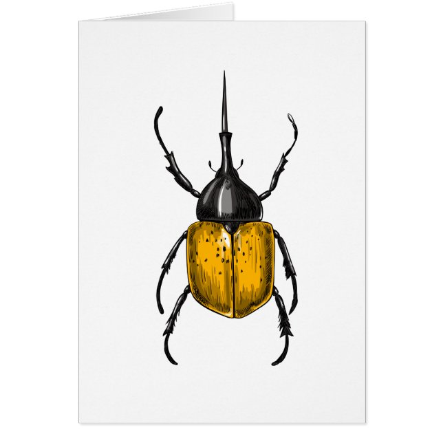 Hercules beetle (Front)