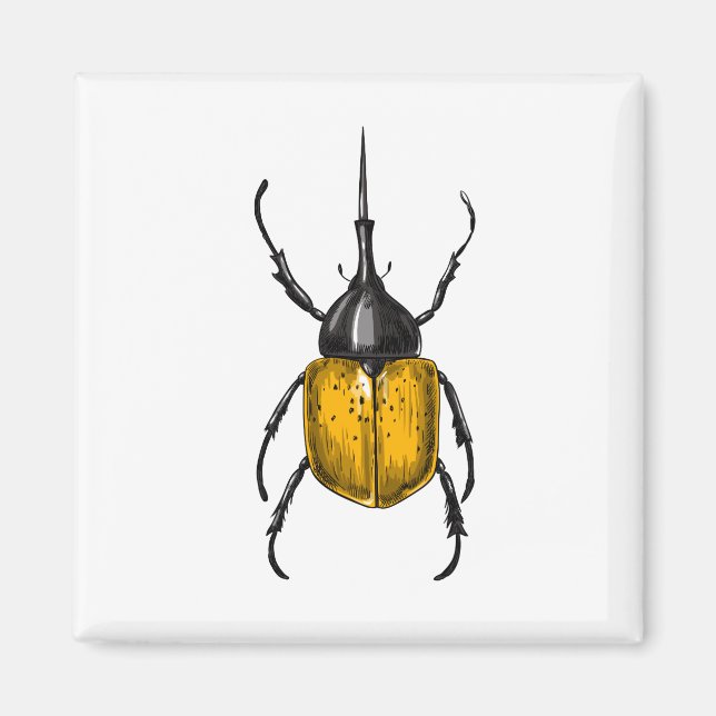Hercules beetle magnet (Front)