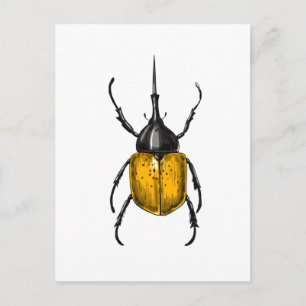 Hercules beetle postcard