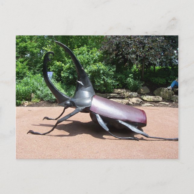 Hercules Beetle Sculpture Postcard (Front)