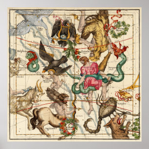 Hercules, Sagittarius, Delphinus and  Scorpius Poster