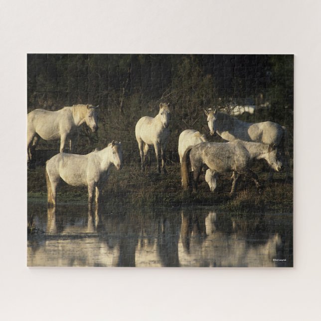 Herd Camargue Ponies Standing In Water Jigsaw Puzzle (Horizontal)
