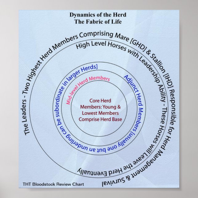Herd Dynamic Fabric of Life Poster (Front)