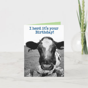 Herd it was your birthday - Cheeky Cow  Card