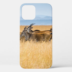 HERD OF ANTELOPES ON GRASS FIELD iPhone 12 CASE