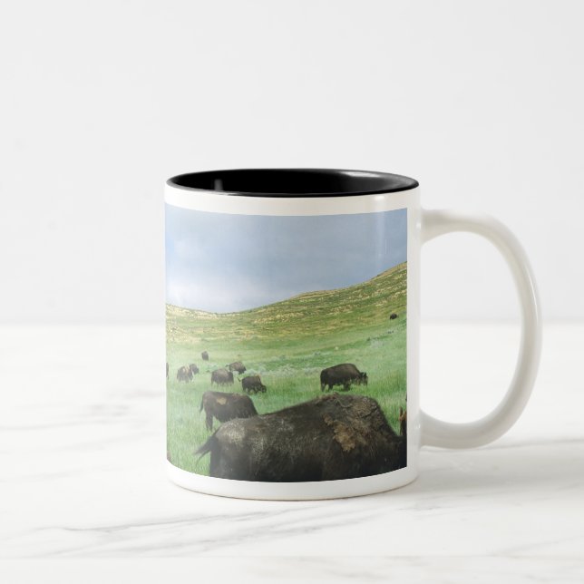 Herd of bison graze prairie grass at Theodore Two-Tone Coffee Mug (Right)