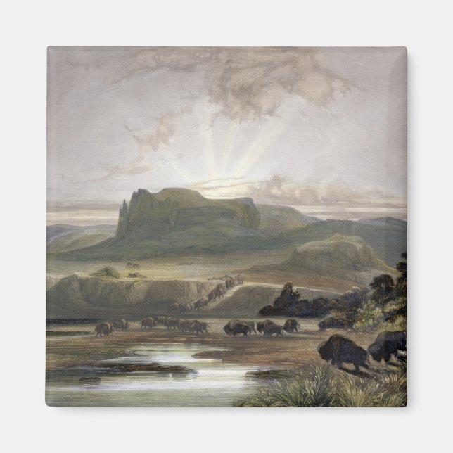 Herd of Bison on the Upper Missouri, plate 40 from Magnet (Front)