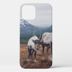HERD OF BROWN-AND-BLACK ANIMALS ON BROWN GRASS FIE iPhone 12 CASE