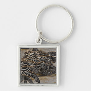 Herd of Burchell's Zebras drinking from Mara Key Ring