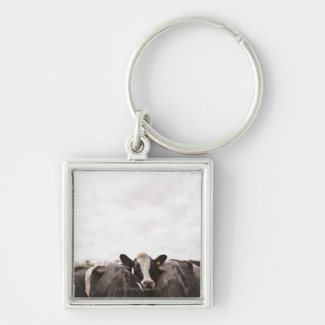 Herd of cattle and overcast sky 2 key ring (Front)