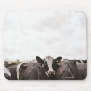 Herd of cattle and overcast sky 2 mouse pad
