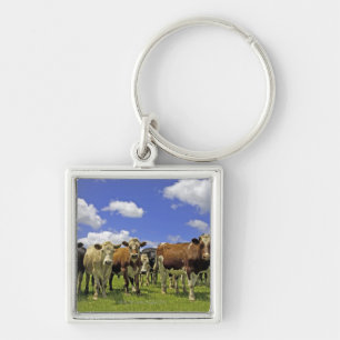 Herd of cattle and overcast sky key ring