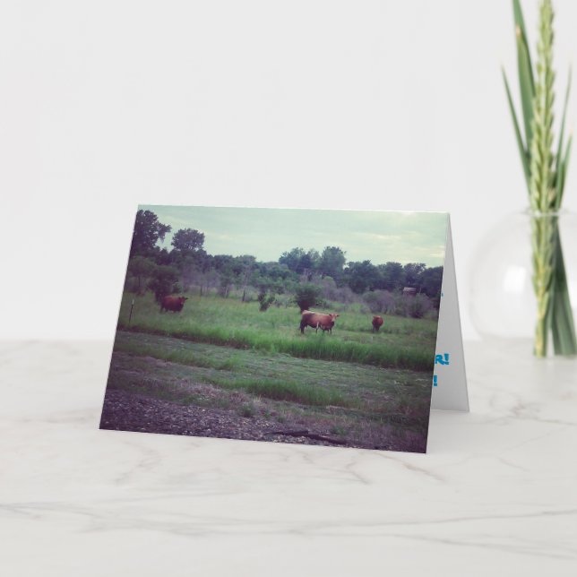 "Herd of Cows" Birthday Card (Front)