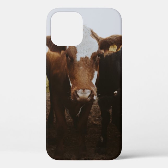 HERD OF COWS Case-Mate iPhone CASE (Back)