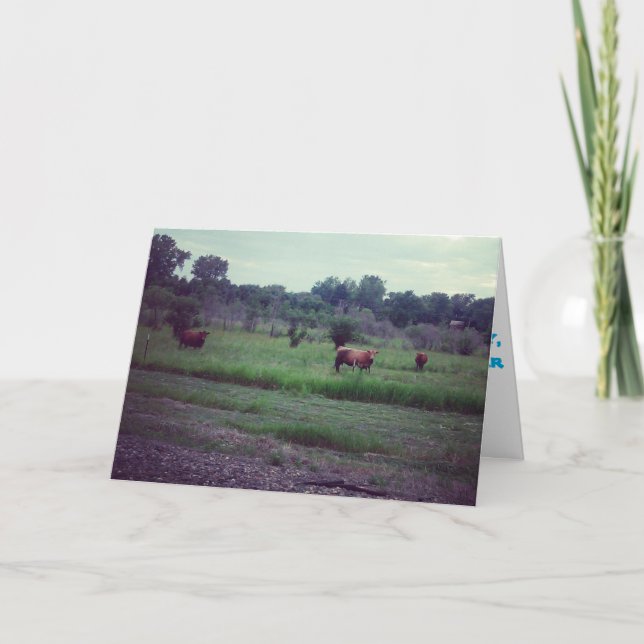 "Herd of Cows" Get Well Card (Front)