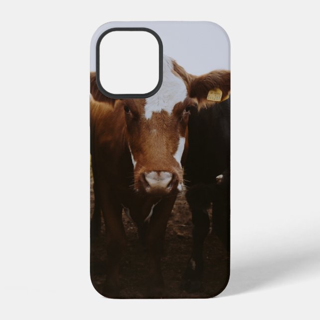 HERD OF COWS iPhone CASE (Back)