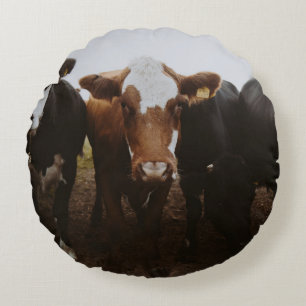 HERD OF COWS ROUND CUSHION