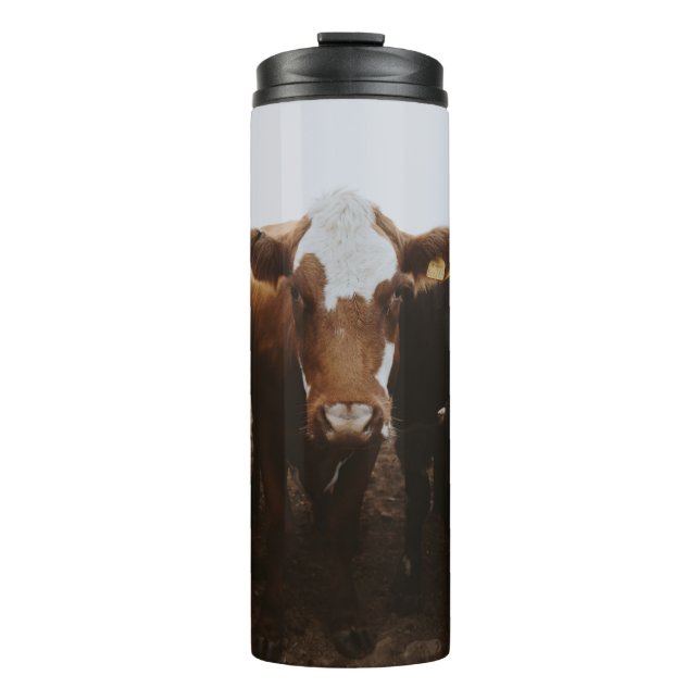 HERD OF COWS THERMAL TUMBLER (Front)