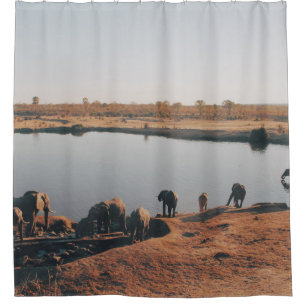 HERD OF ELEPHANT DRINKING WATER FROM LAKE SHOWER CURTAIN