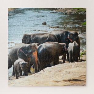 Herd of Elephants with Baby in Water Jigsaw Puzzle