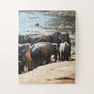 Herd of Elephants with Baby in Water Jigsaw Puzzle