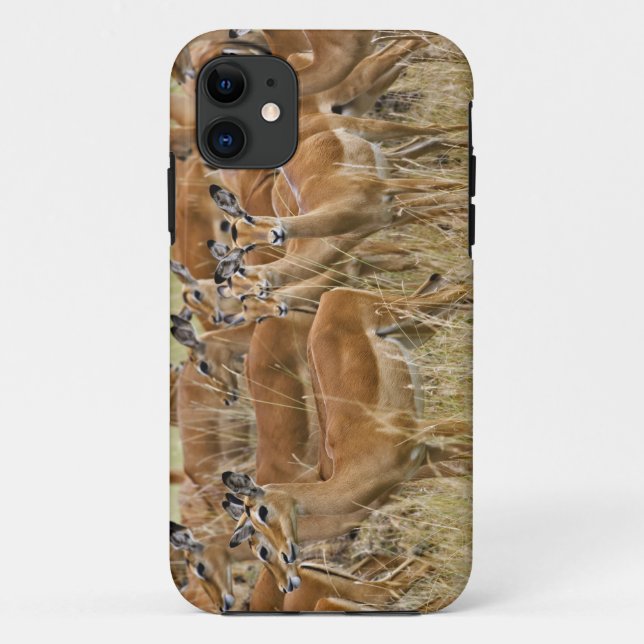 Herd of female Impala, Masai Mara, Kenya. Case-Mate iPhone Case (Back)
